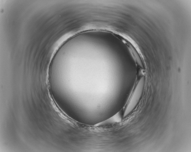 X0000087590815200705112301