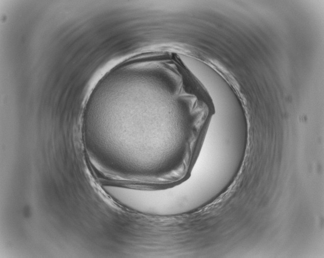 X0000087590816200705112301