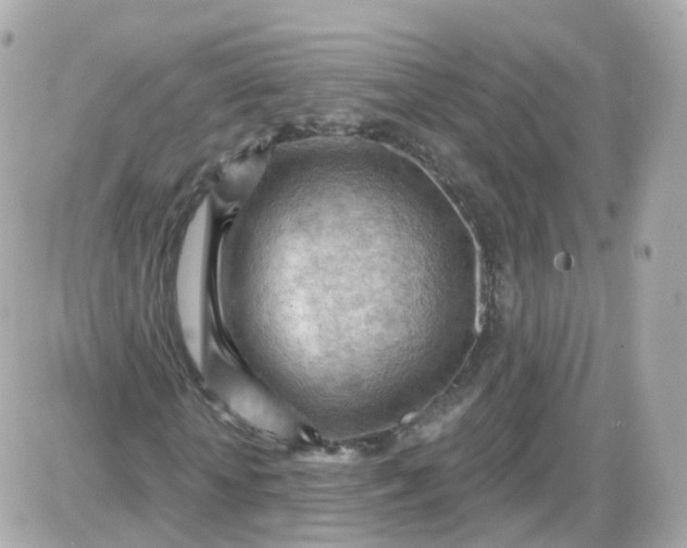 X0000087590818200705112301