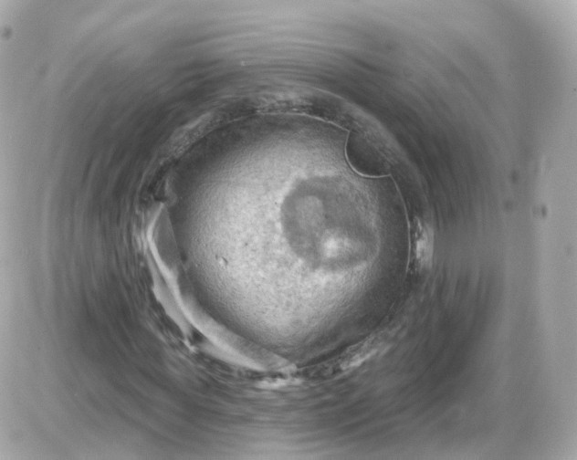 X0000087590819200705112301