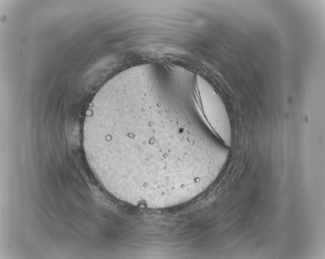 X0000087590820200705112301