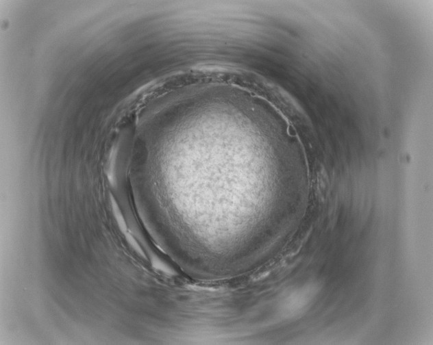 X0000087590821200705112301