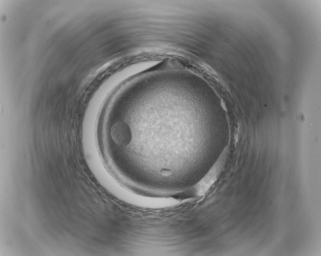 X0000087590822200705112301