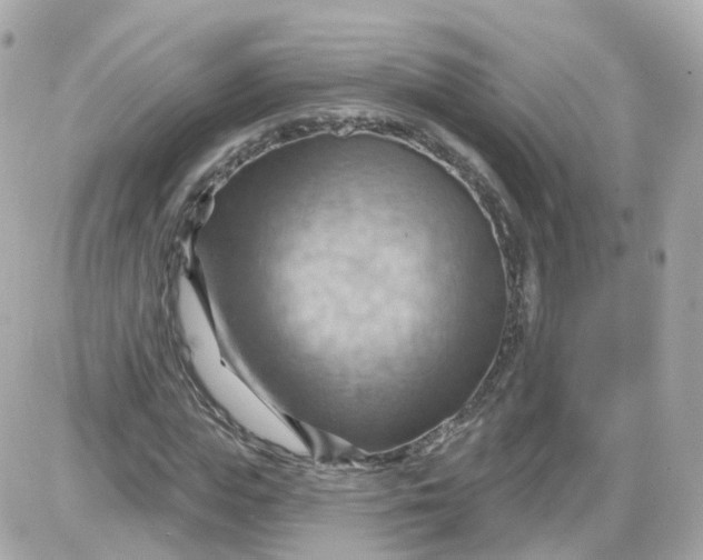 X0000087590823200705112301