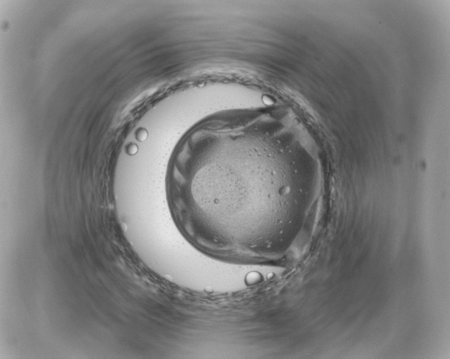 X0000087590824200705112301