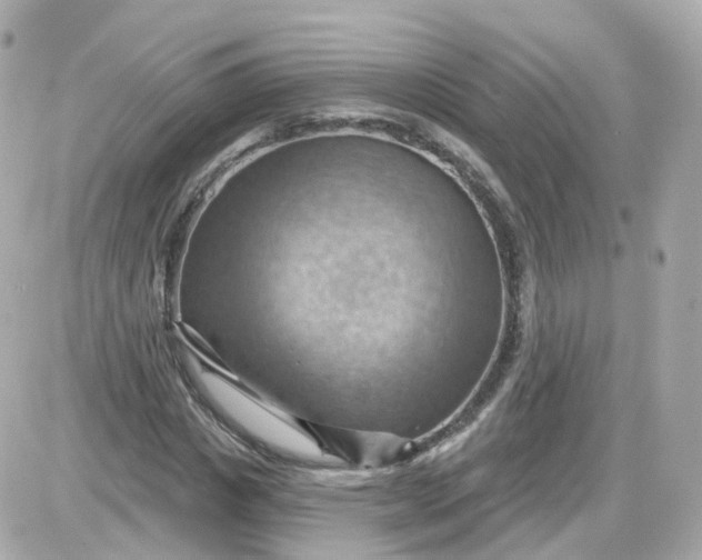 X0000087590825200705112301