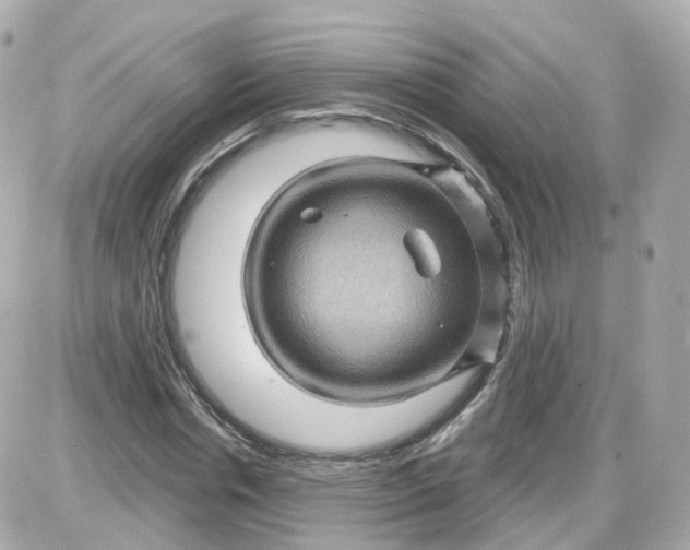 X0000087590826200705112301