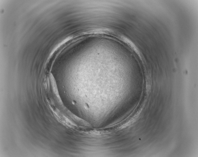 X0000087590827200705112301