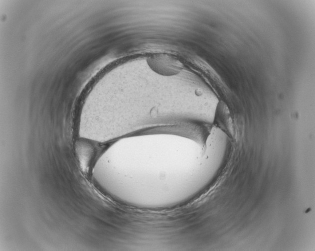 X0000087590828200705112301