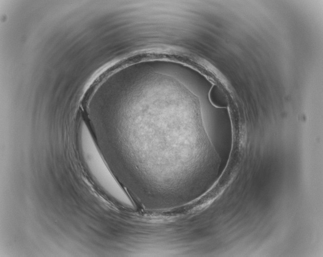 X0000087590829200705112301