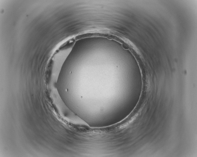 X0000087590830200705112301