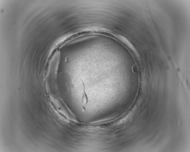 X0000087590831200705112301