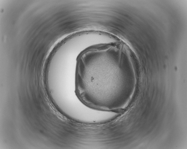 X0000087590832200705112301