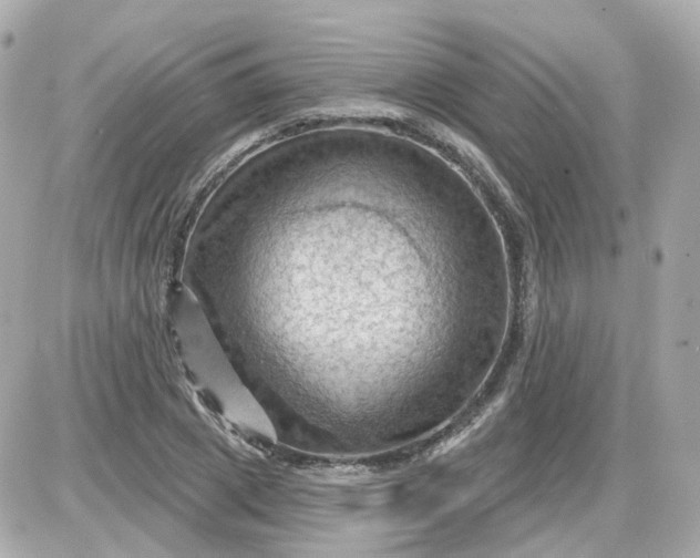 X0000087590833200705112301