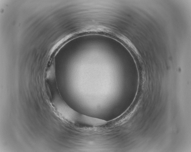 X0000087590834200705112301