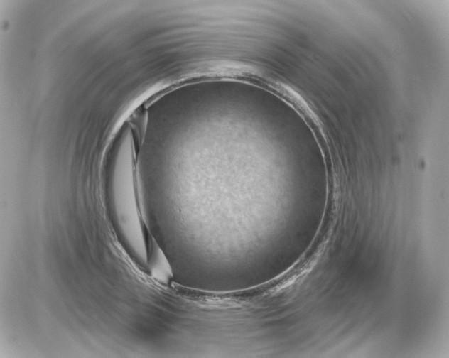 X0000087590835200705112301