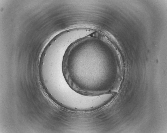 X0000087590836200705112301