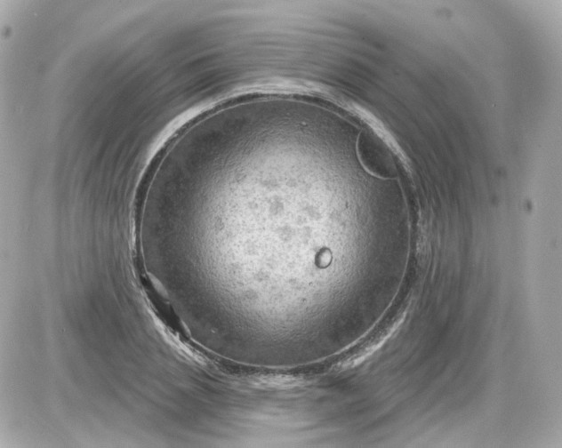 X0000087590837200705112301