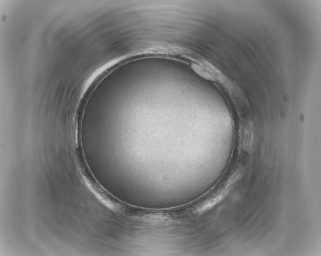 X0000087590838200705112301