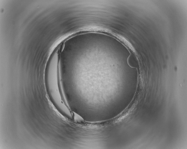 X0000087590839200705112301