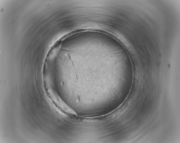 X0000087590840200705112301