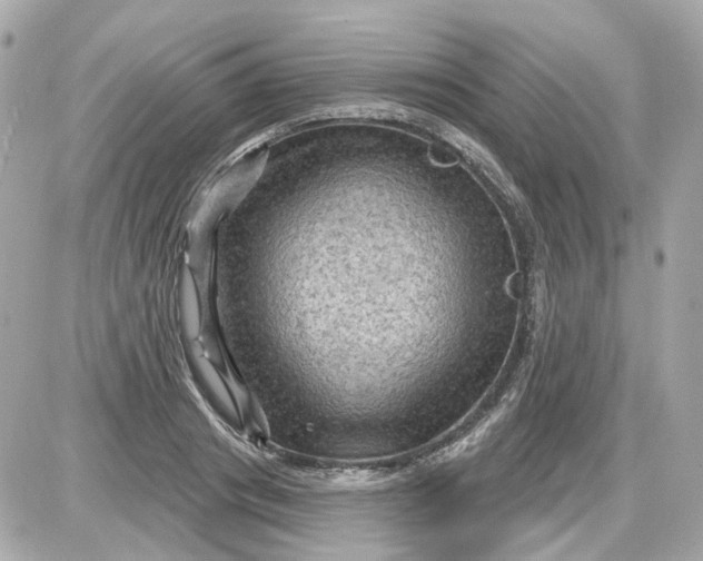 X0000087590841200705112301