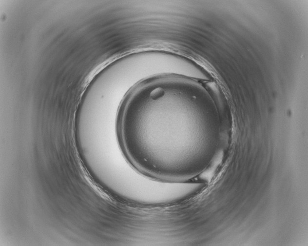 X0000087590842200705112301