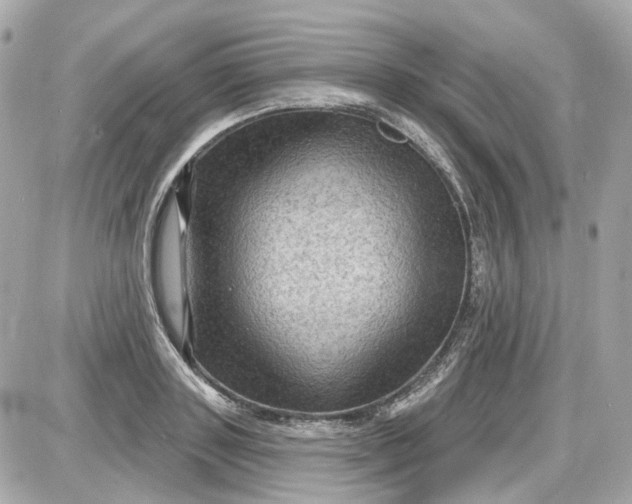 X0000087590843200705112301