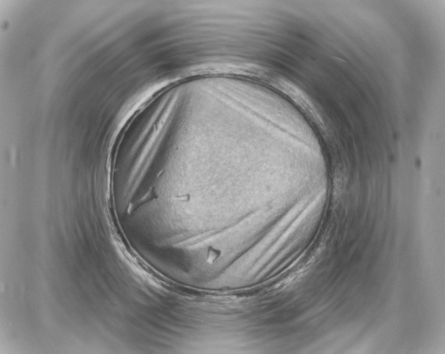 X0000087590844200705112301