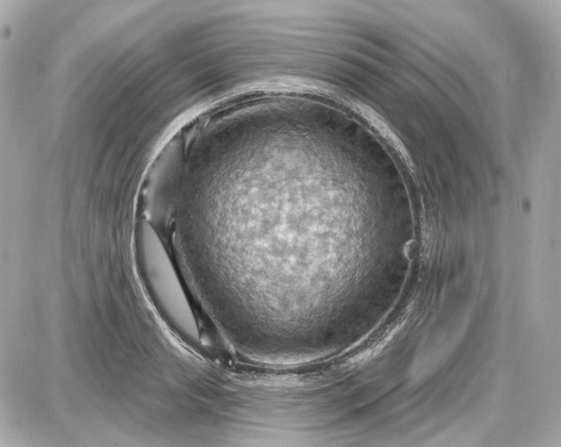 X0000087590845200705112301