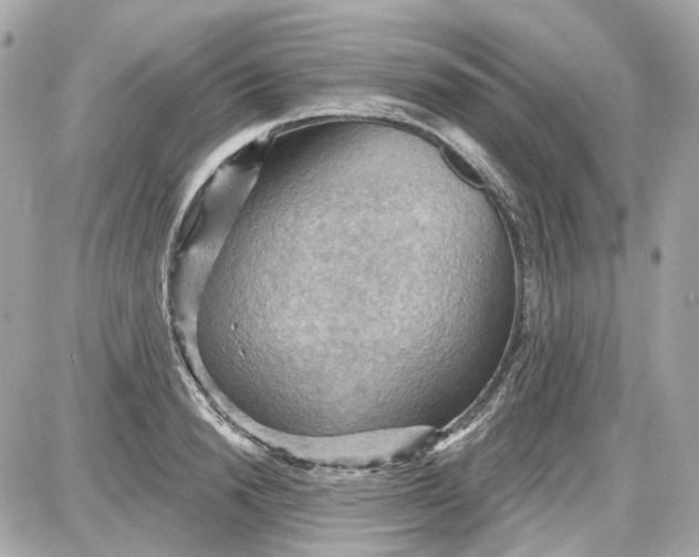 X0000087590846200705112301