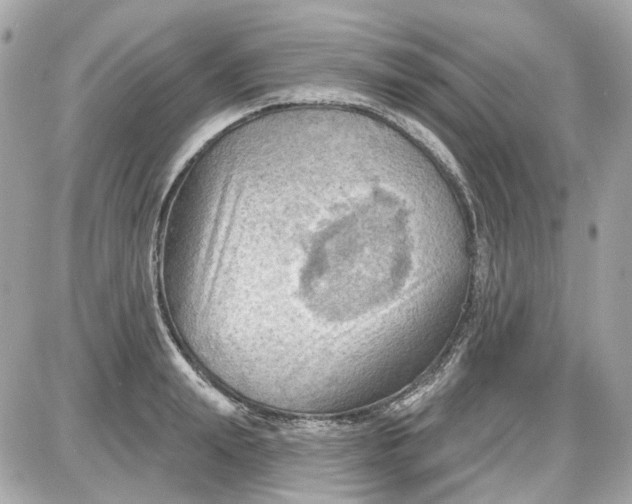 X0000087590847200705112301