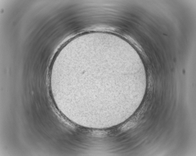 X0000087590848200705112301