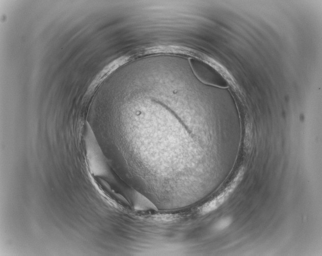 X0000087590849200705112301