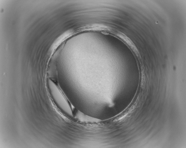 X0000087590850200705112301