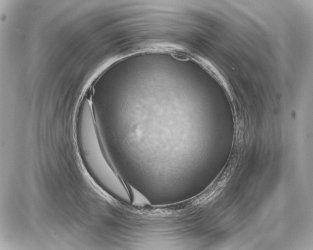 X0000087590851200705112301