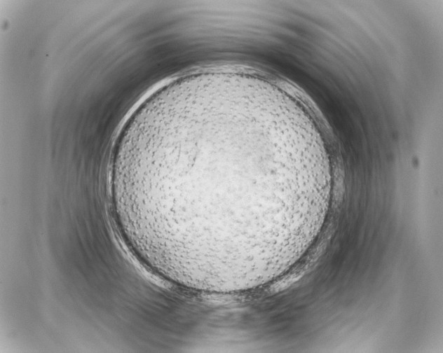 X0000087590852200705112301