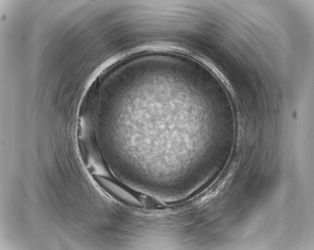 X0000087590853200705112301