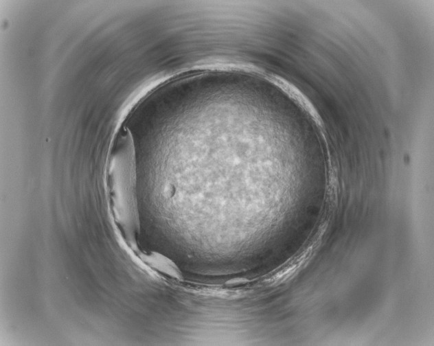 X0000087590855200705112301