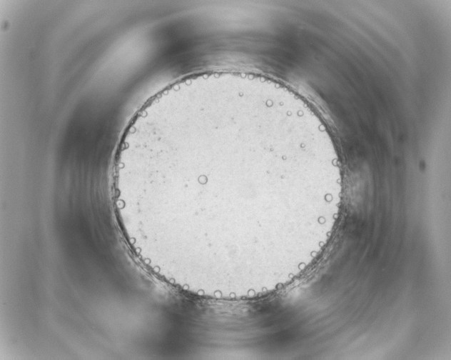 X0000087590856200705112301