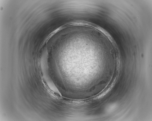 X0000087590857200705112301