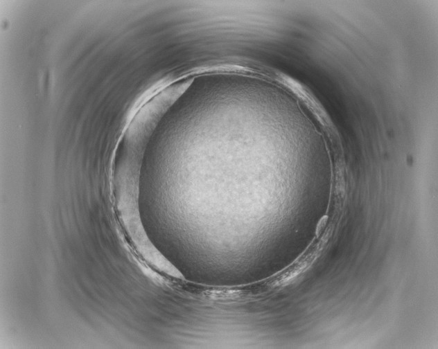 X0000087590858200705112301