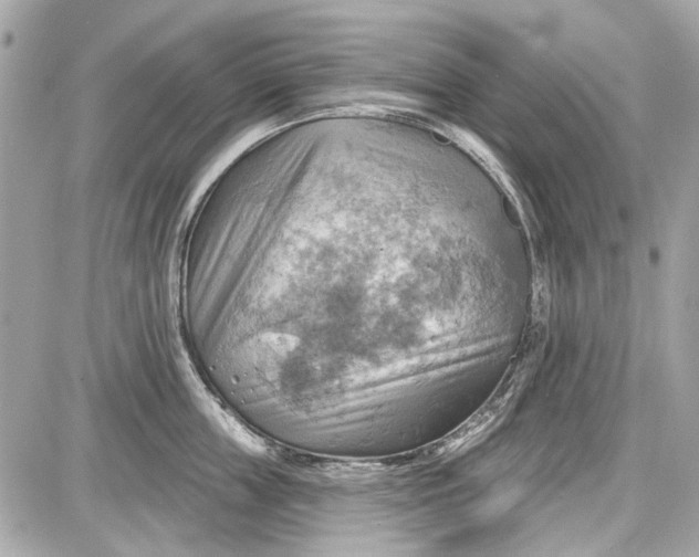 X0000087590859200705112301