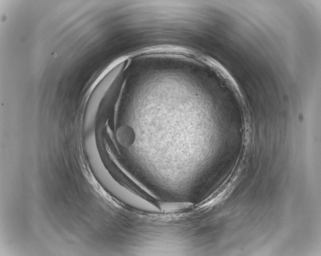 X0000087590860200705112301