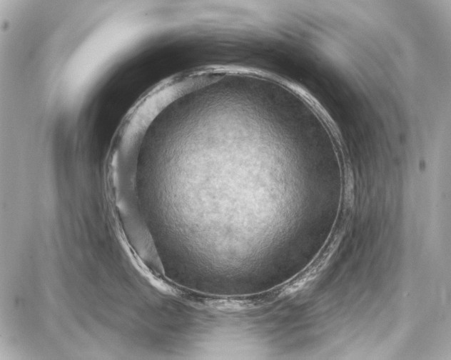 X0000087590862200705112301