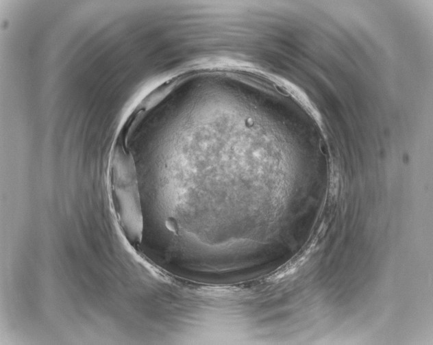 X0000087590863200705112301