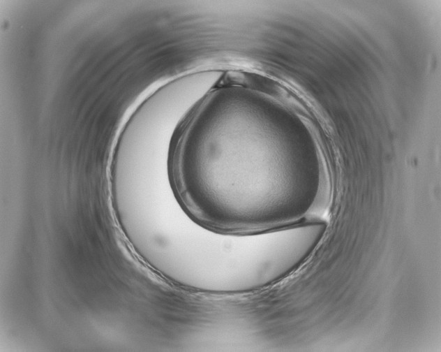 X0000087590864200705112301