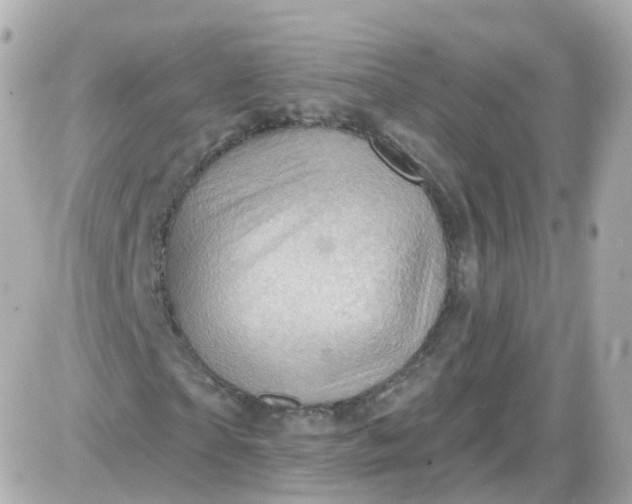 X0000087590865200705112301