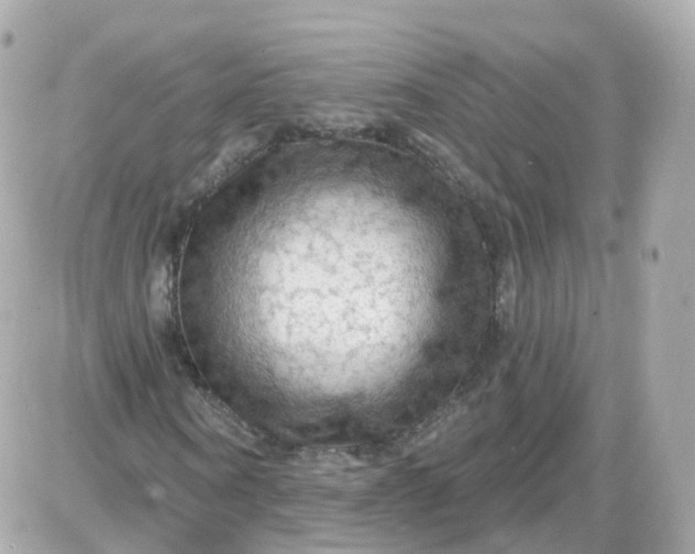 X0000087590866200705112301