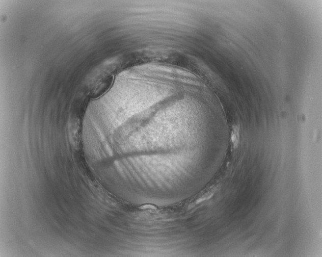 X0000087590867200705112301